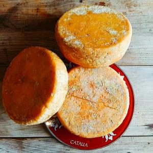 queijo2CATAUA3