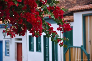 diamantina      