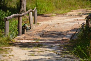 passeio-caraca (1) 