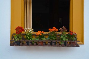 tiradentes-charme (1)   